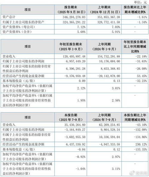 聯迪信息2025年第三季度凈虧損316.48萬元，內銷收入下滑拖累業績